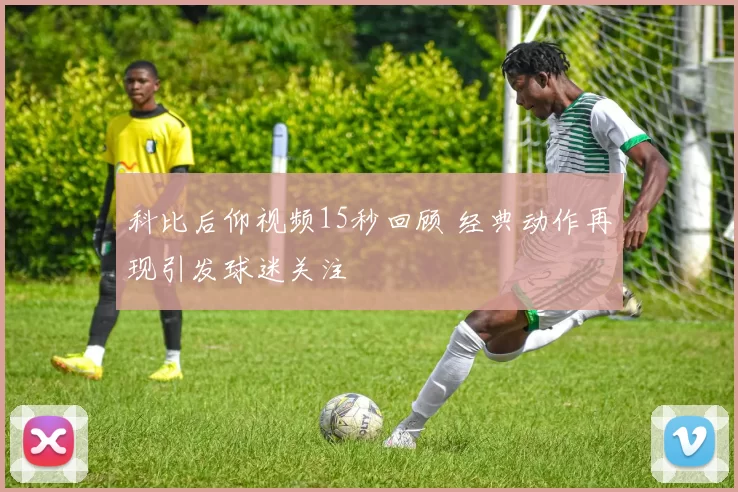 科比后仰视频15秒回顾 经典动作再现引发球迷关注