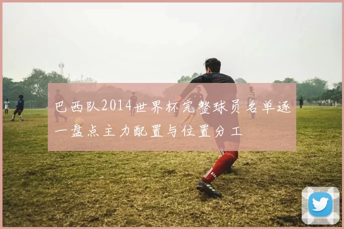 巴西队2014世界杯完整球员名单逐一盘点主力配置与位置分工
