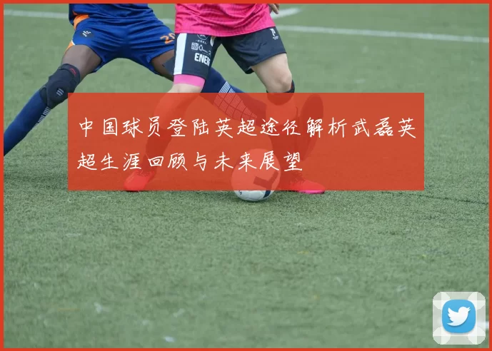 中国球员登陆英超途径解析武磊英超生涯回顾与未来展望