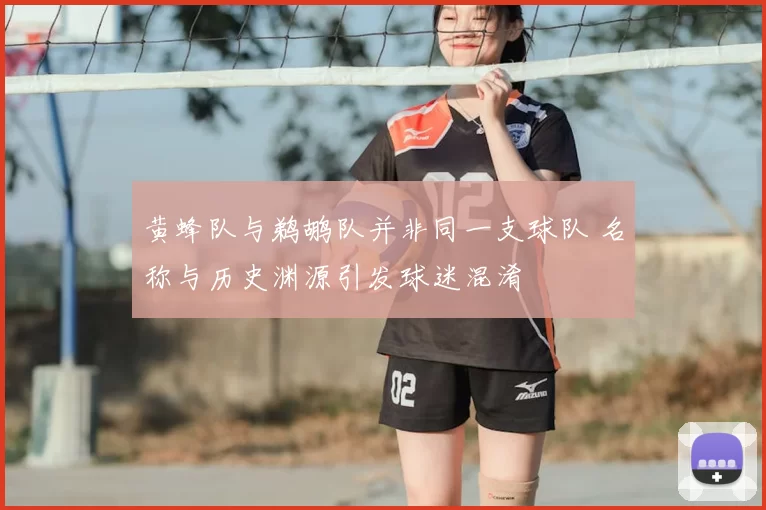 黄蜂队与鹈鹕队并非同一支球队 名称与历史渊源引发球迷混淆