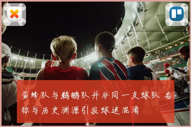黄蜂队与鹈鹕队并非同一支球队 名称与历史渊源引发球迷混淆