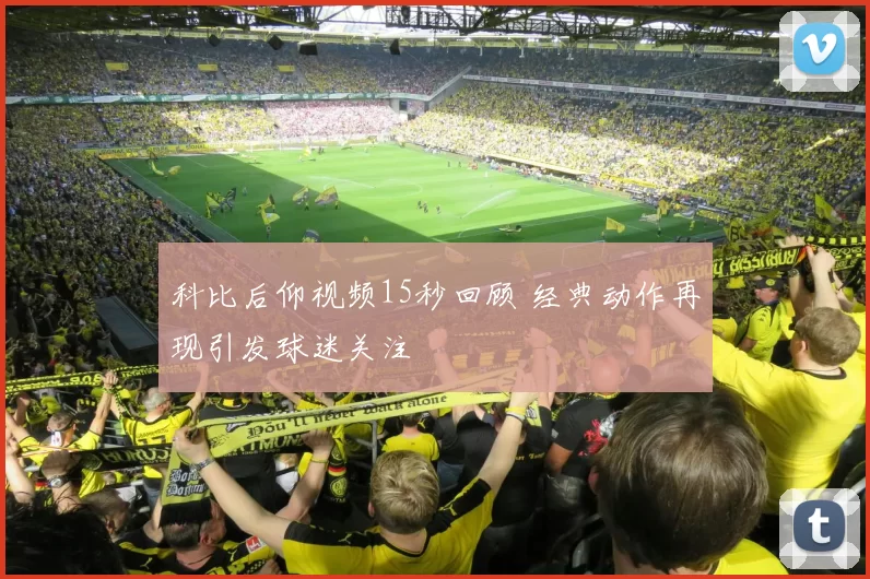 科比后仰视频15秒回顾 经典动作再现引发球迷关注