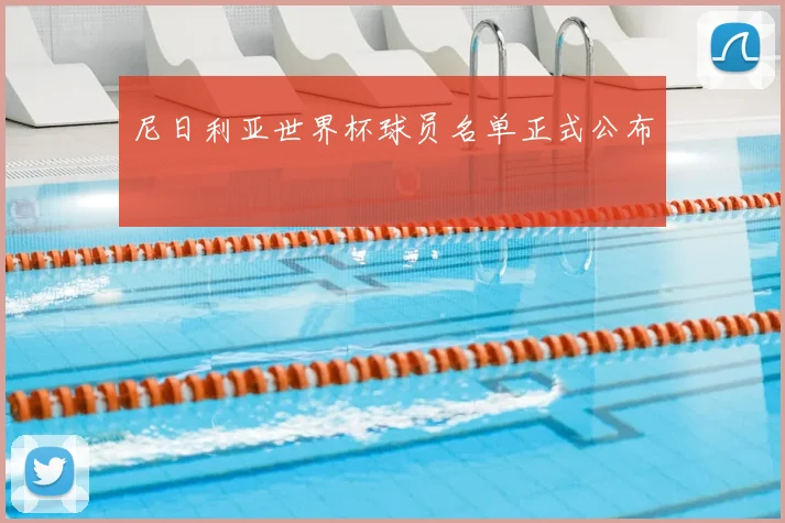 尼日利亚世界杯球员名单正式公布