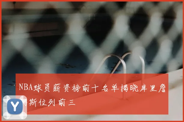 NBA球员薪资榜前十名单揭晓库里詹姆斯位列前三