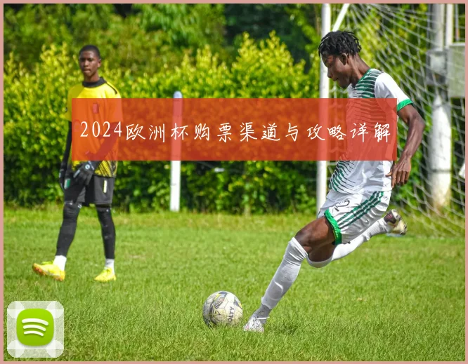 2024欧洲杯购票渠道与攻略详解